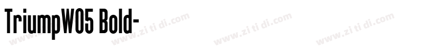 TriumpW05 Bold字体转换